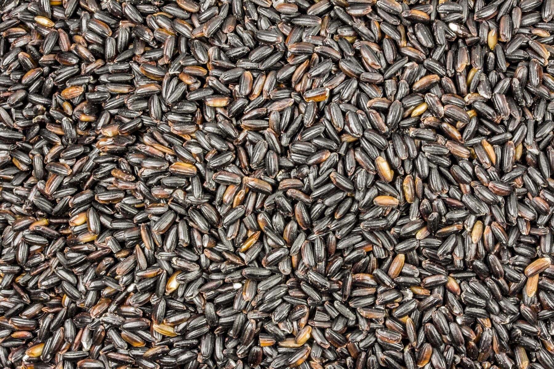 Organic black long-grain rice