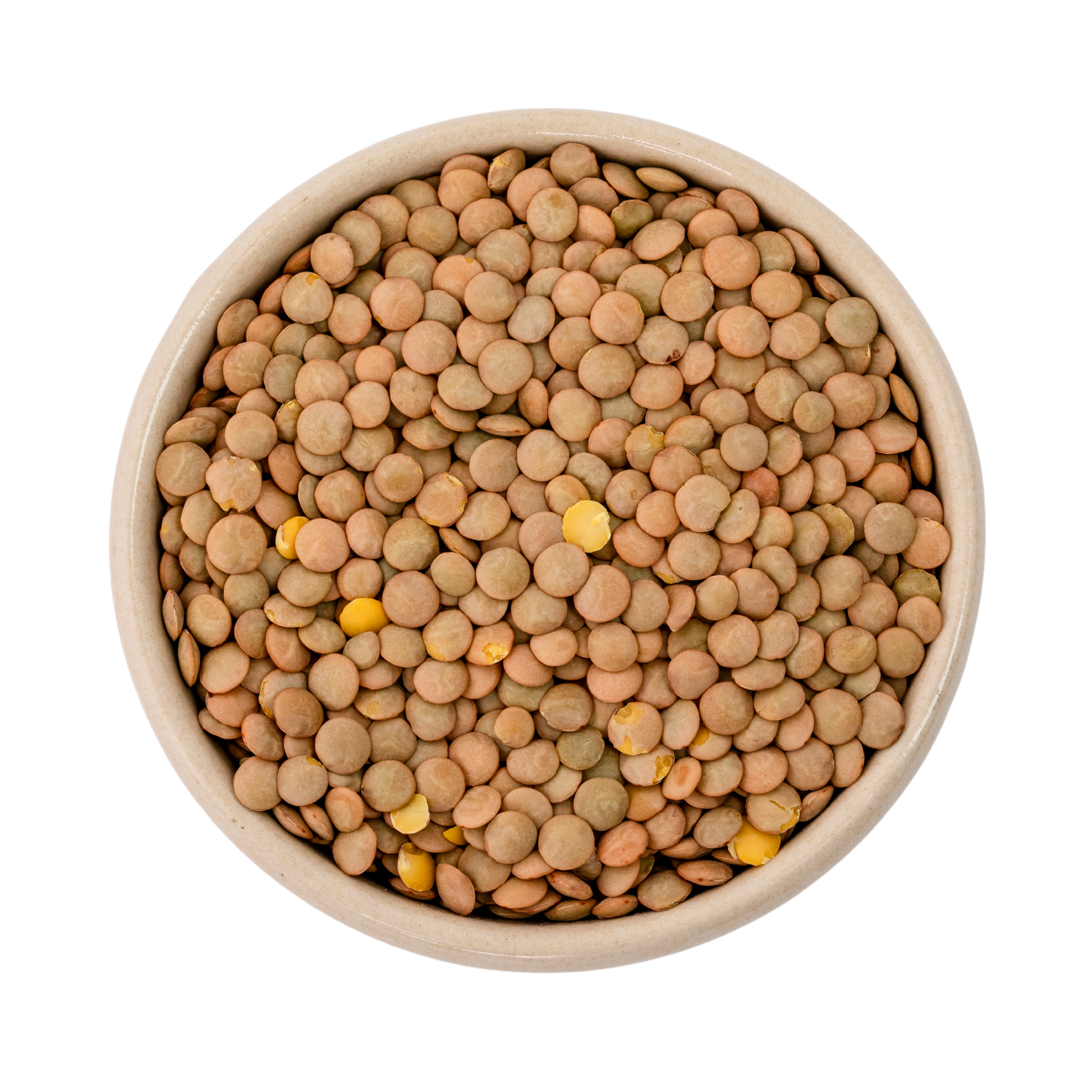 Organic brown lentils (Plate, Laird)