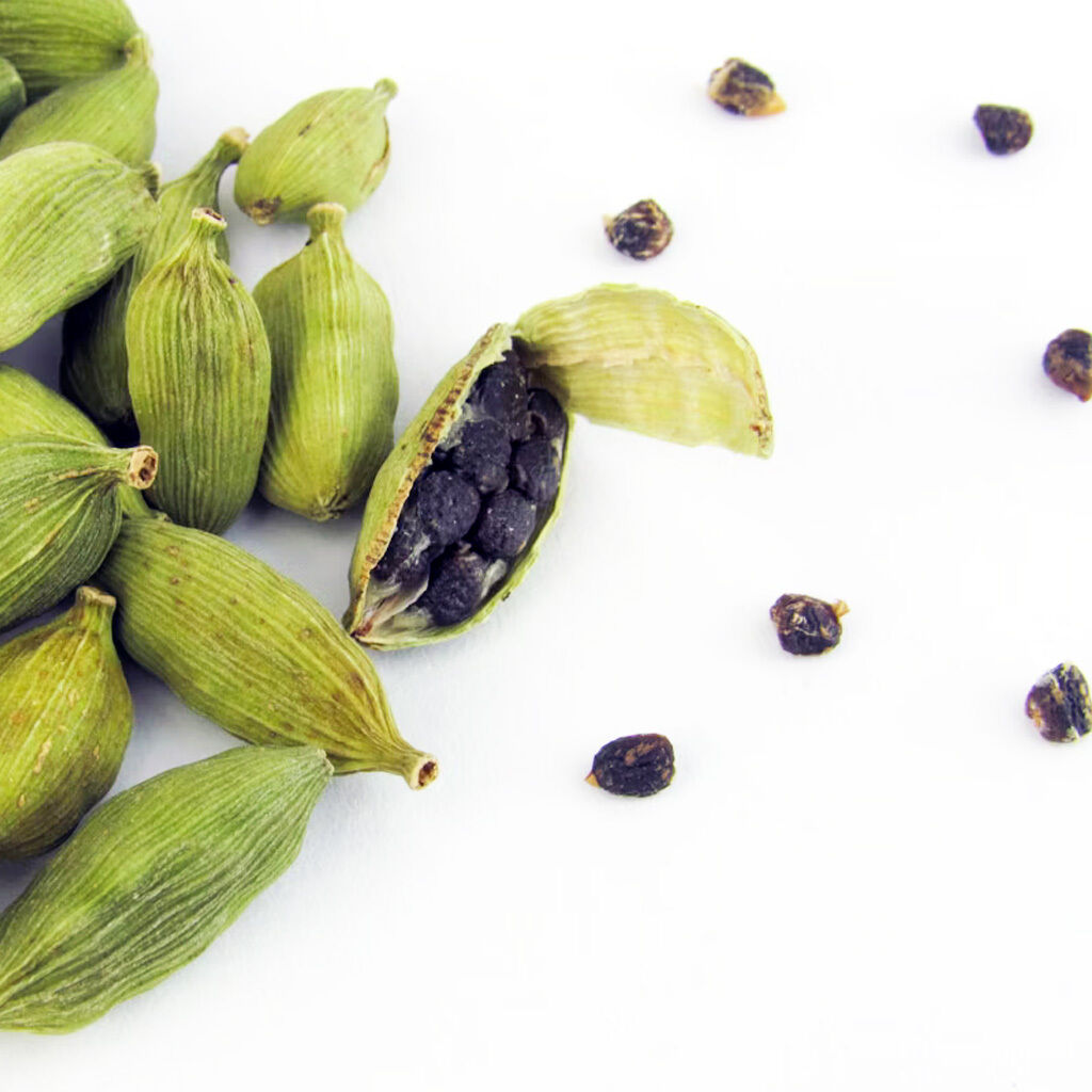 Nærbillede af grønne kardemommebælge, et åbent bælg med synlige sorte frø på hvid baggrund