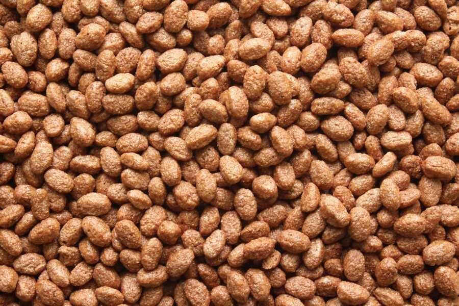 Organic Chocolate Crisps