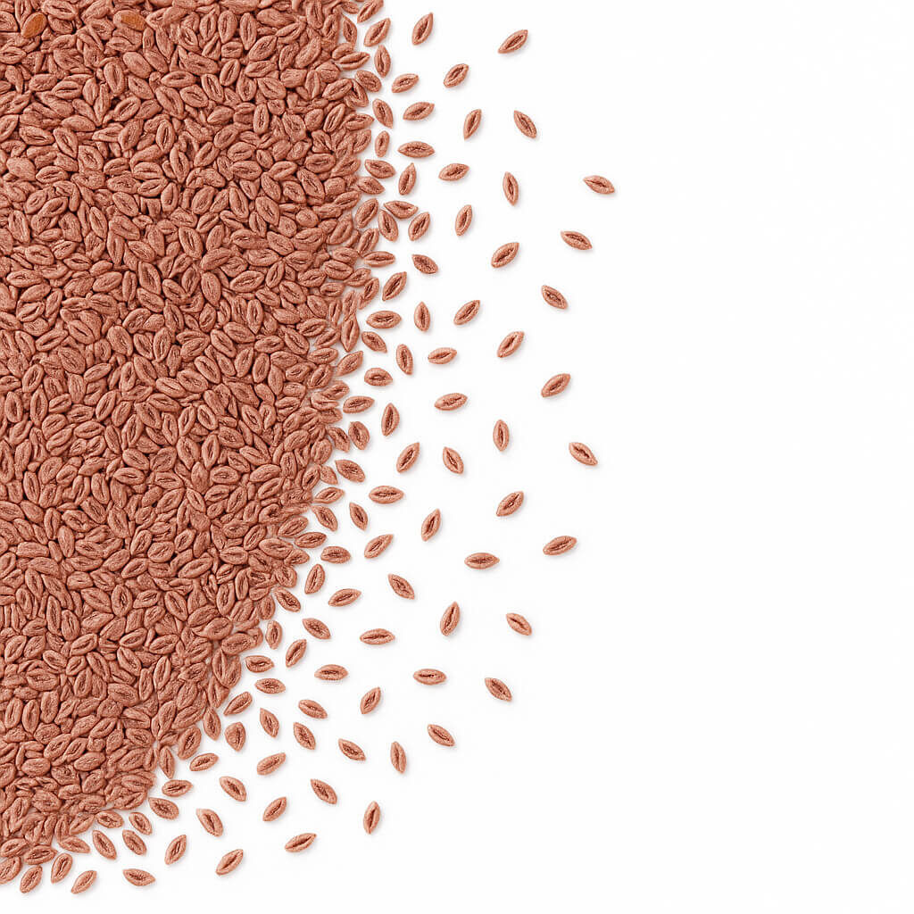 Close-up of brown cereal grains scattered on white