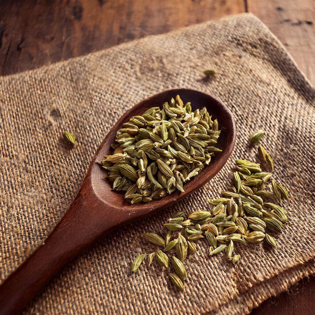 Træske fyldt med grønne fennikelfrø på groft linnedstof med spredte frø ved siden af