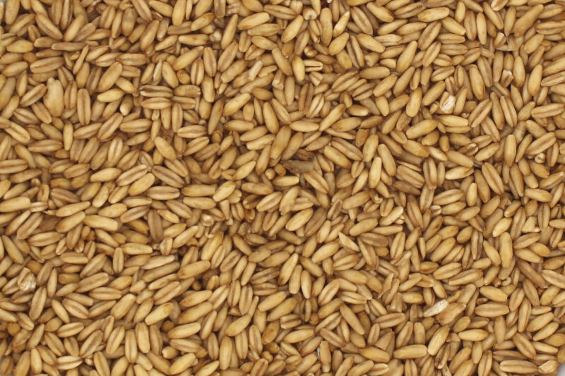 Organic Hulled Oats