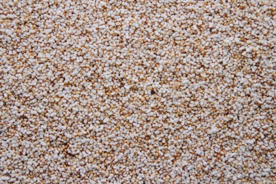 Organic puffed amaranth