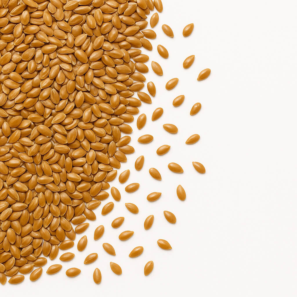 Brown flax (linseed) seeds scattered on white background