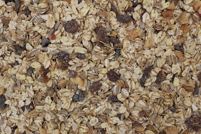 Nærbillede af müsli med havregryn, rosiner, solsikkekerner, nødder og tørret frugt