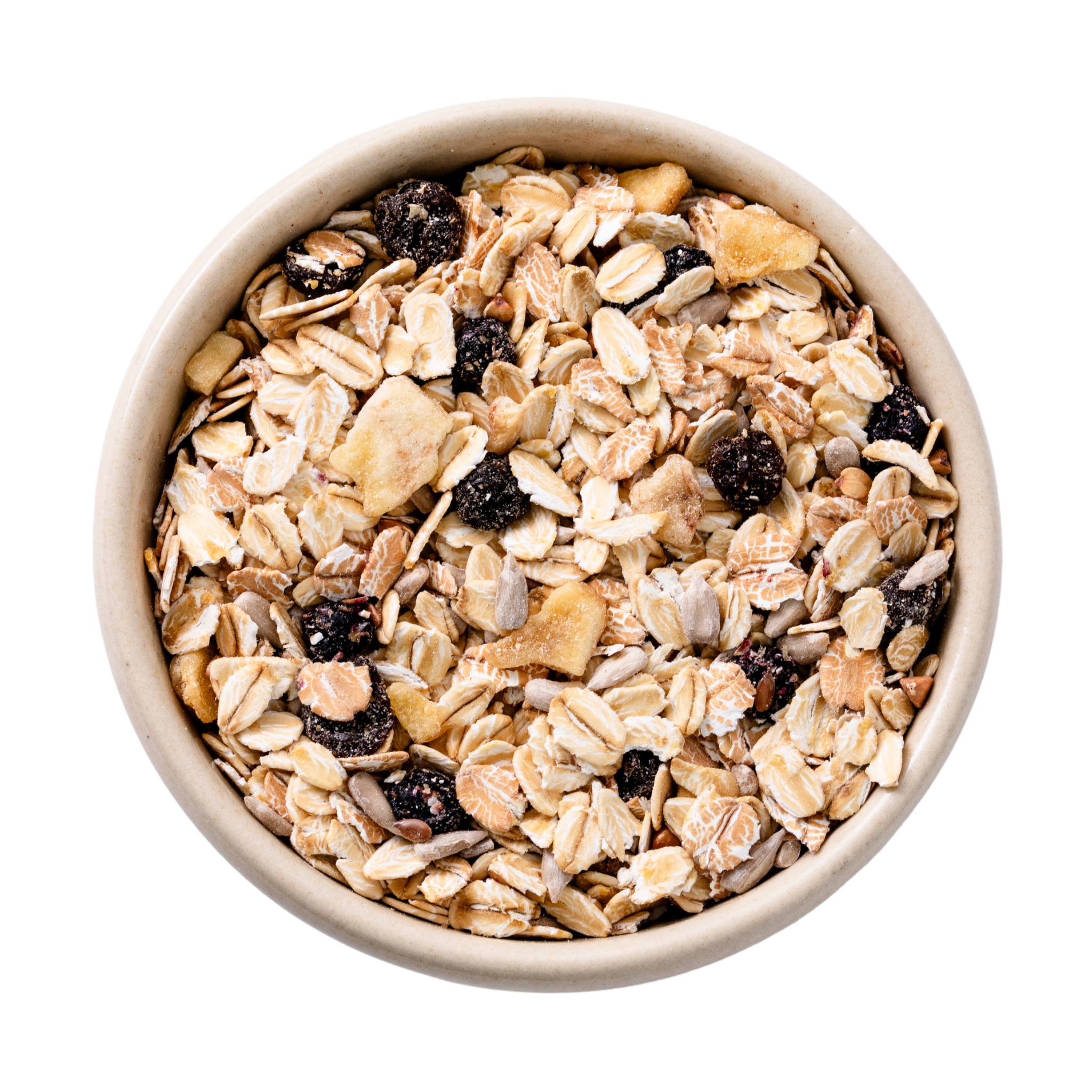 Nahaufnahme einer Schale mit Müsli aus Haferflocken, getrockneten Beeren, Apfelstücken und Saaten (Sonnenblumen- und Leinsamen)