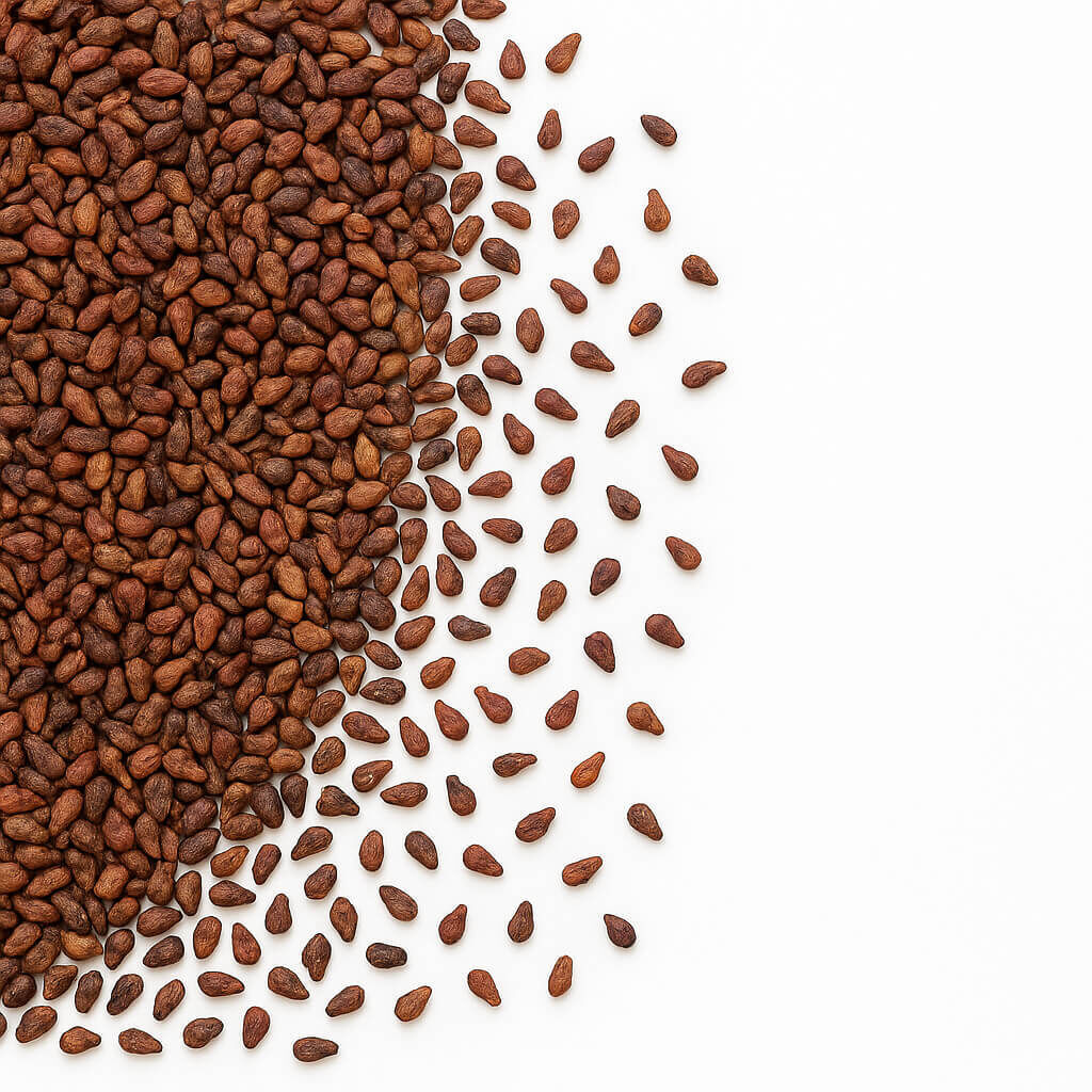 Close-up of scattered brown seeds on white surface