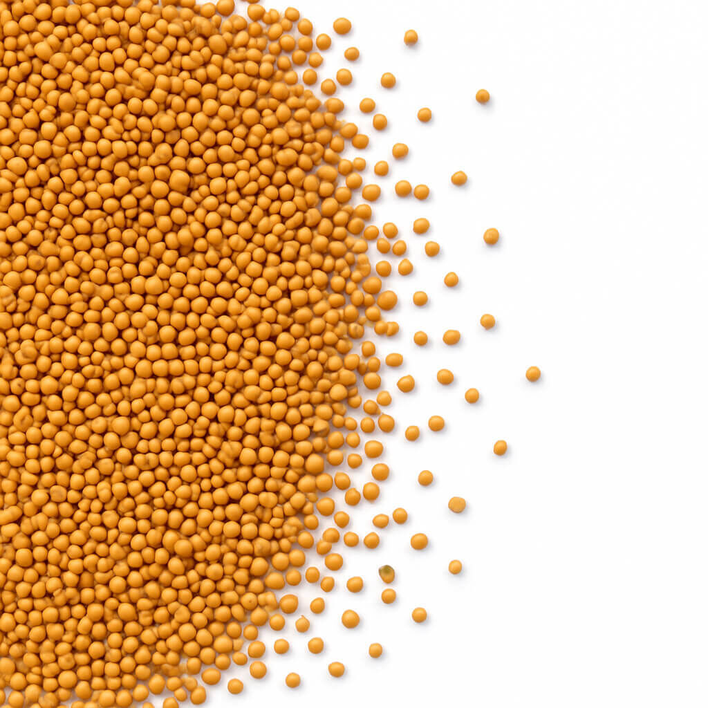 Close-up of scattered orange pellets