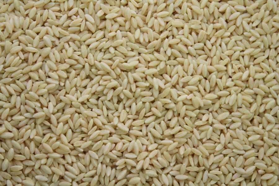 Risoni pasta in rice shape, organic