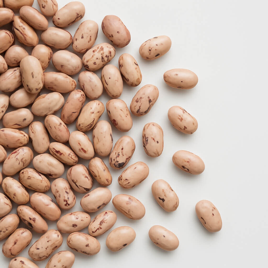 Scattered pinto beans on white background