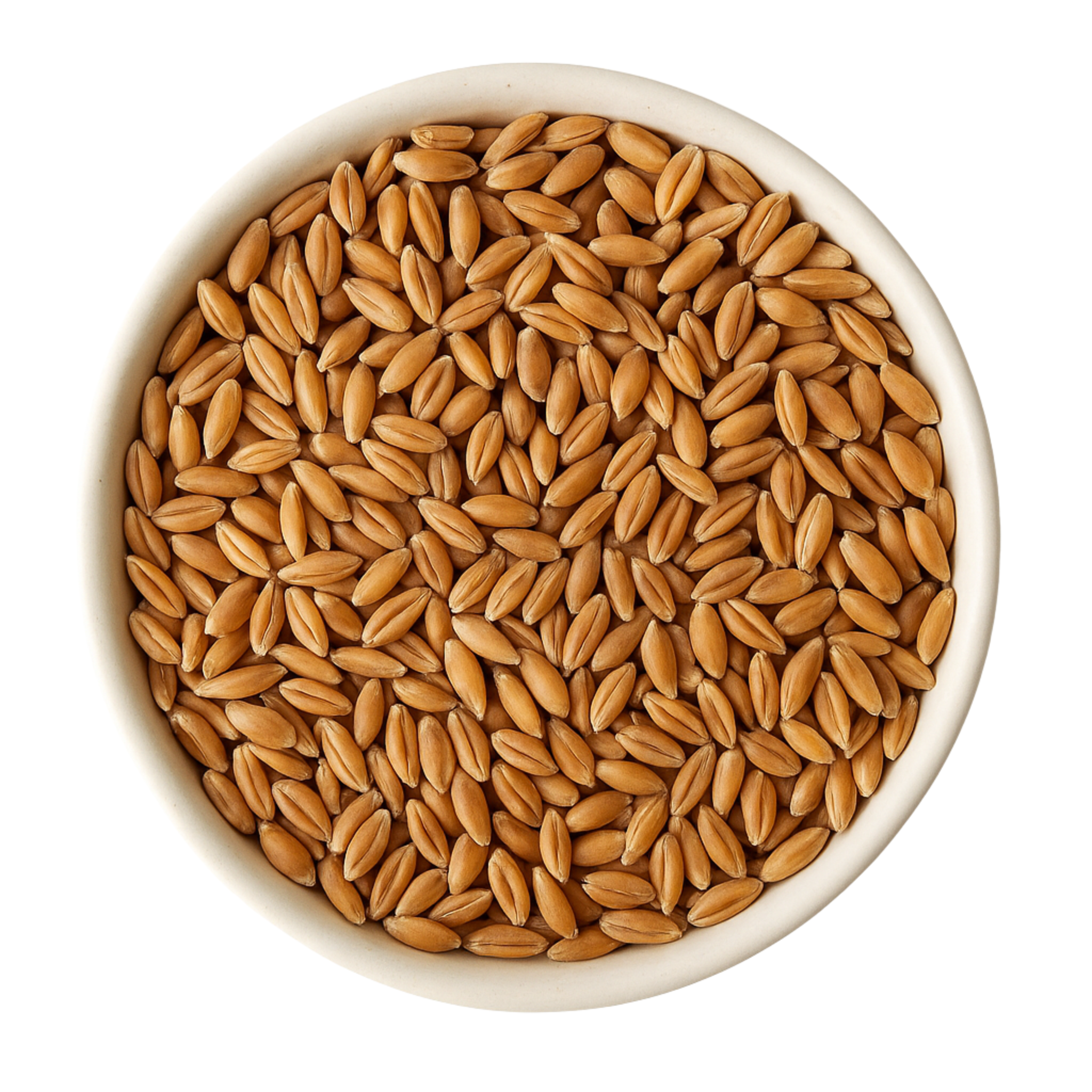 Einkorn bio 25kg