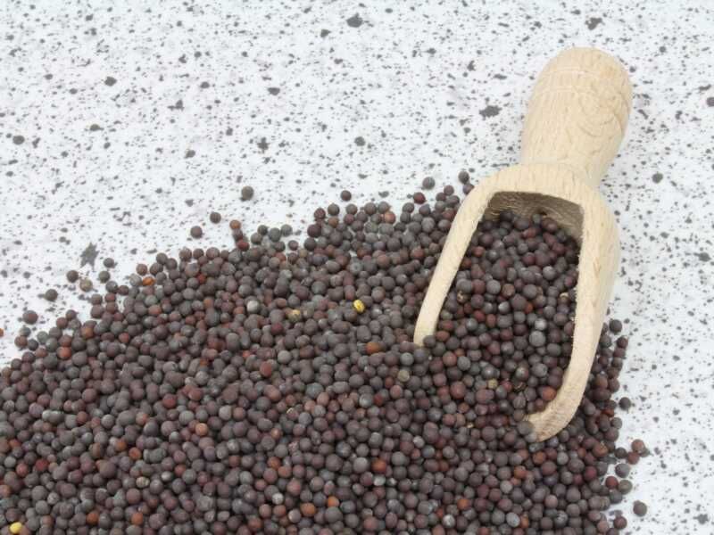 Close-up of brown mustard seeds and wooden scoop