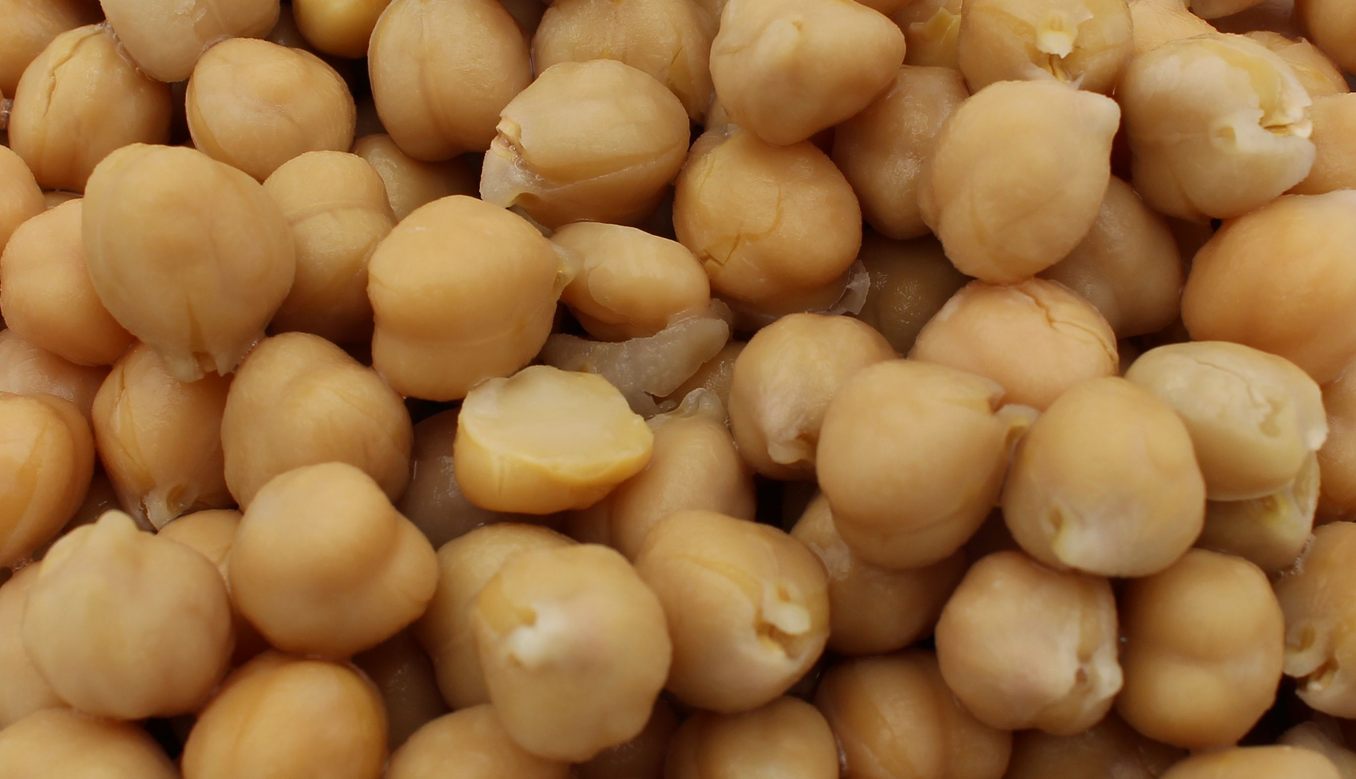 Organic Chickpeas Marschland, Net Weight: 2.6kg, Drained Weight 1,5kg