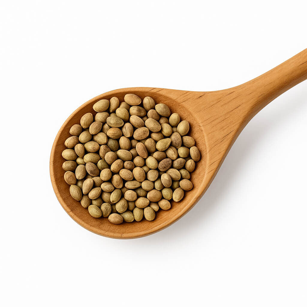 Wooden spoon filled with green lentils