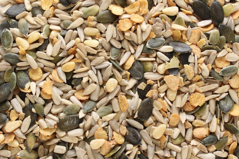 Salad & Muesli Topping organic 12.5kg