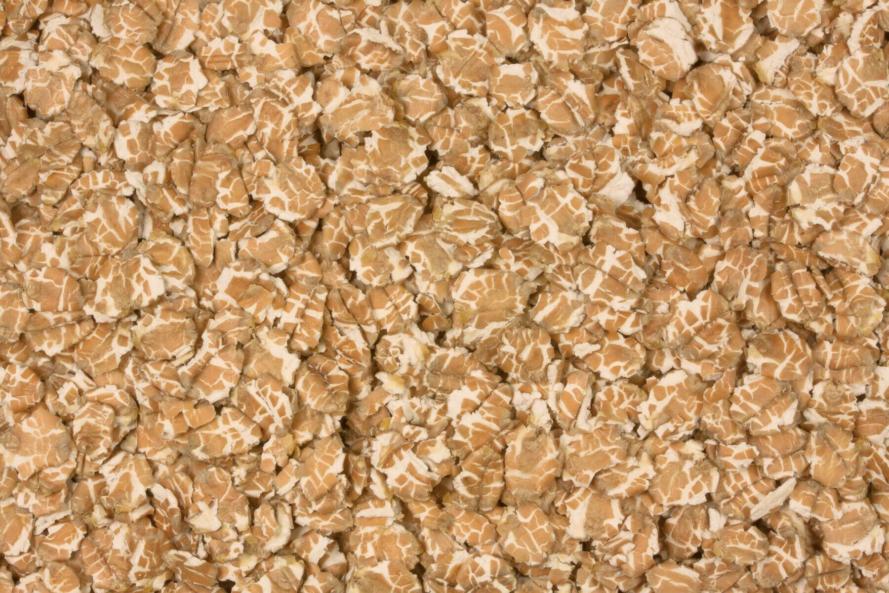 Organic wheat flakes