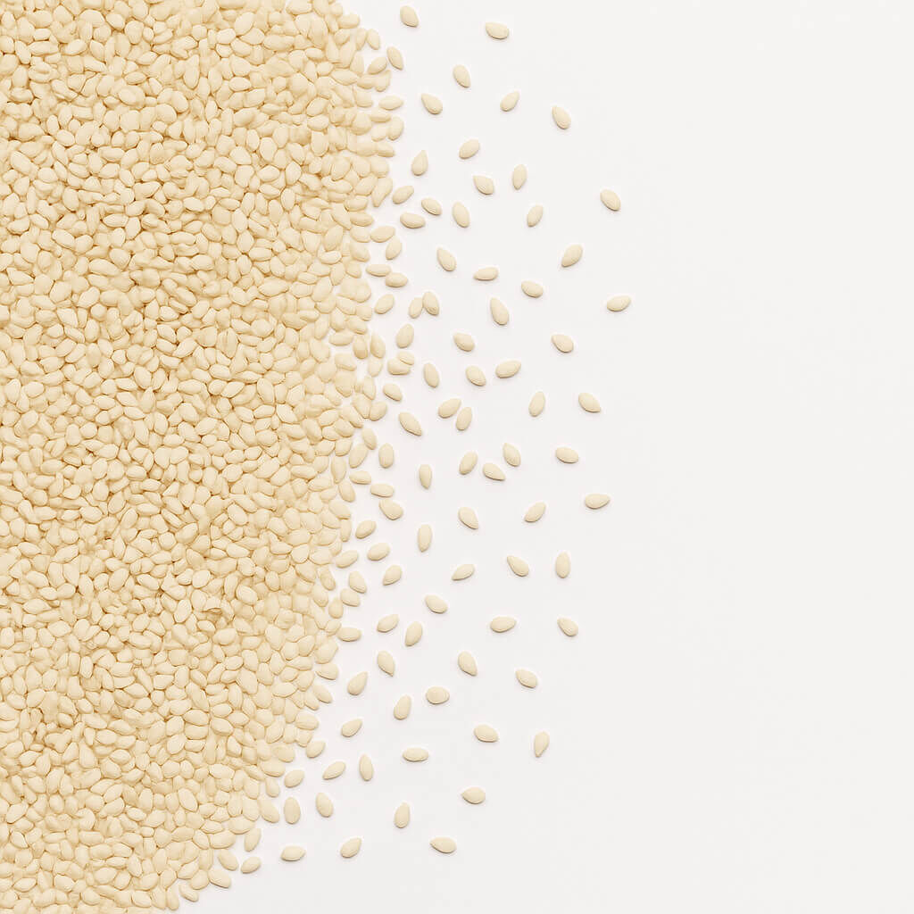 Close-up of white sesame seeds scattered and piled