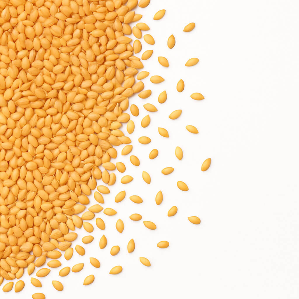 Close-up of yellow lentil seeds on white