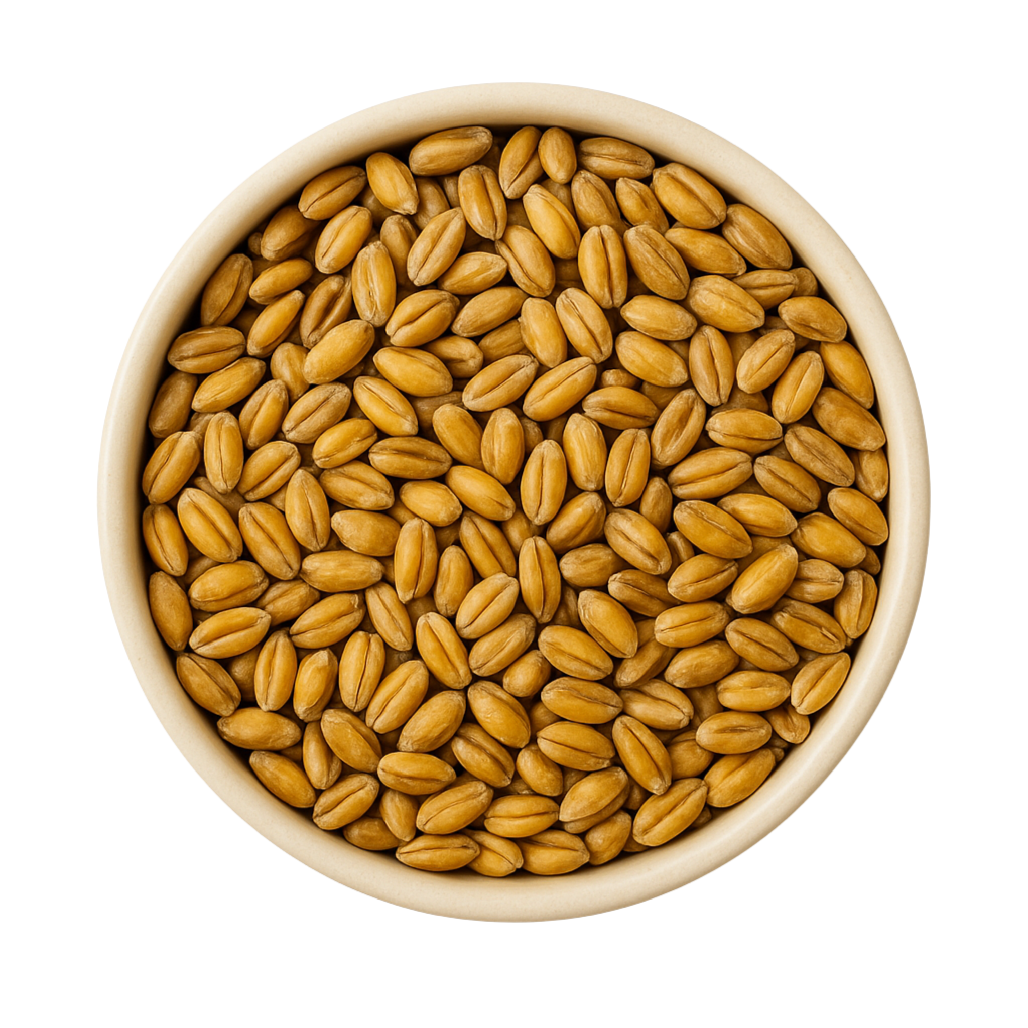 Weizen bio