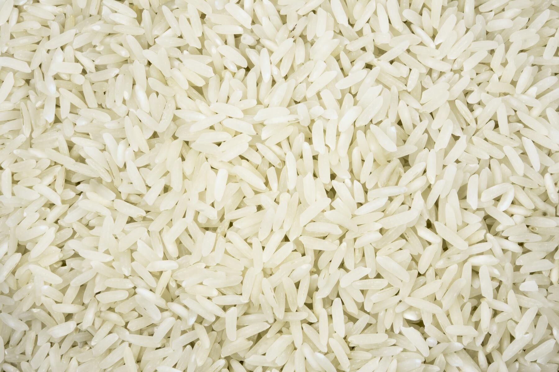 Organic fragrant white rice from Italy