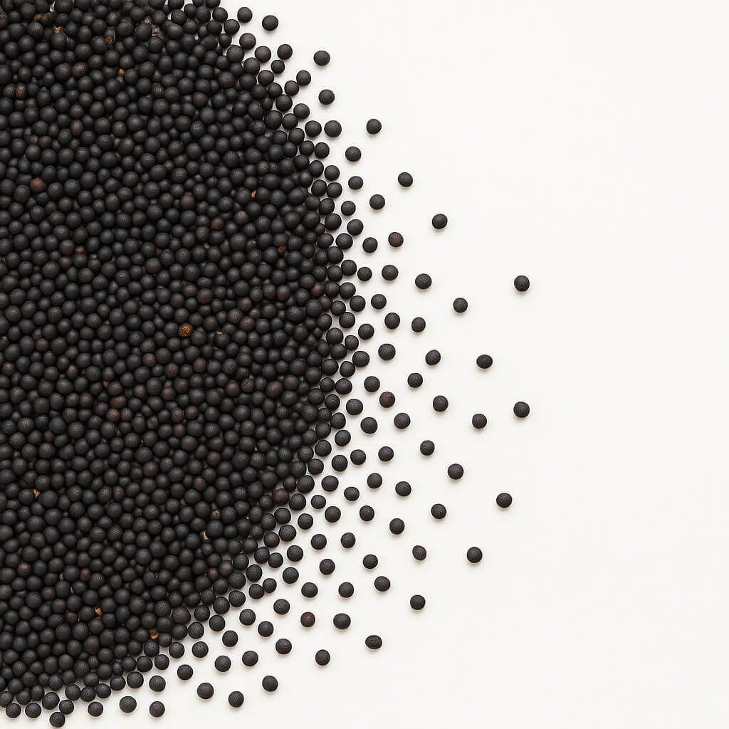 Close-up of black mustard seeds