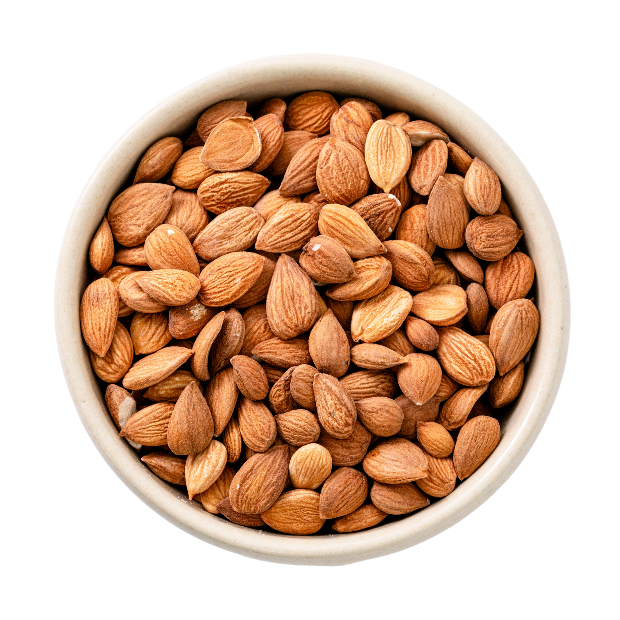 Bitter organic apricot kernels only for processors