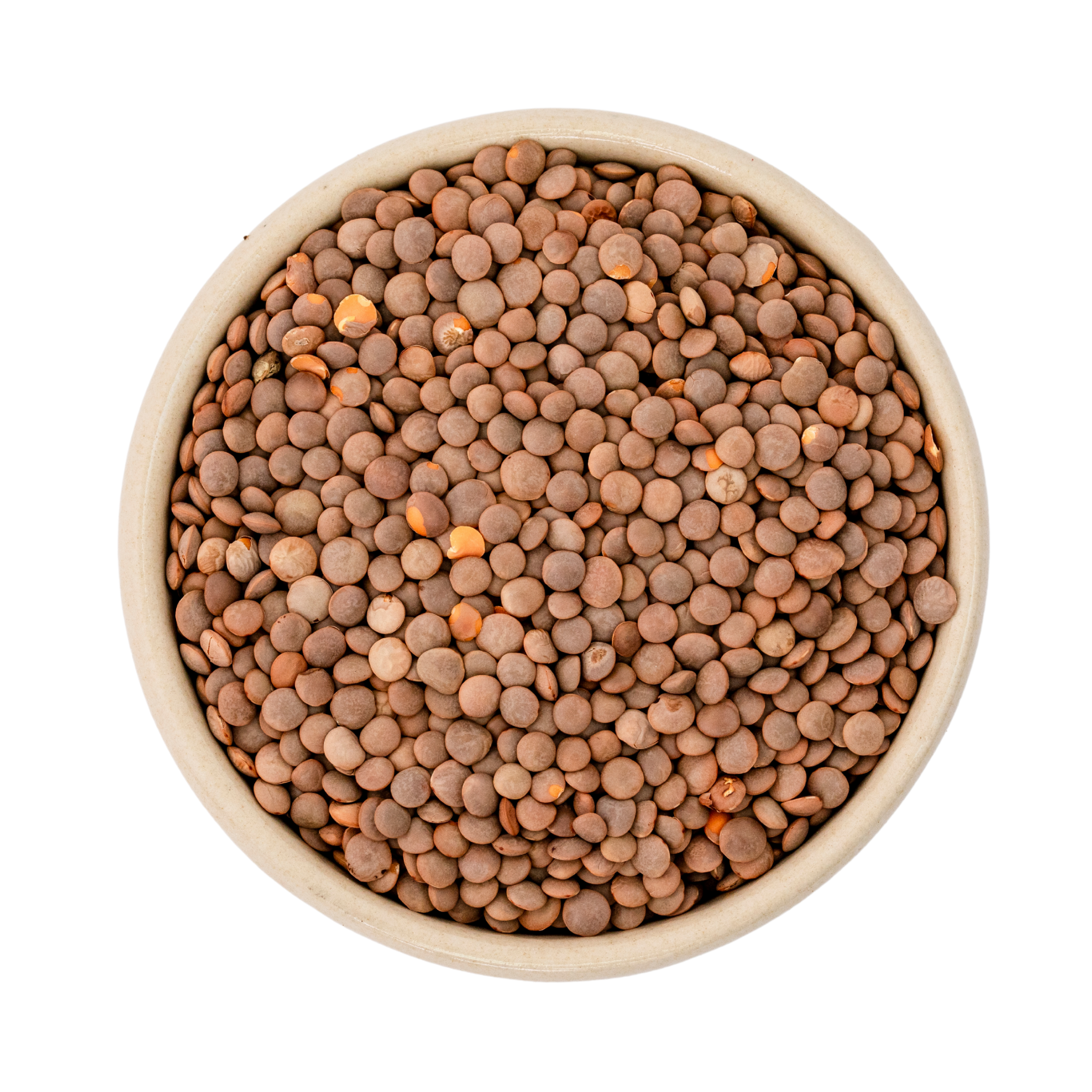 Organic gourmet brown mountain lentils