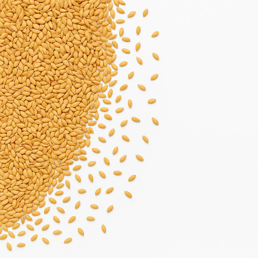 Close-up of golden sesame seeds on white background