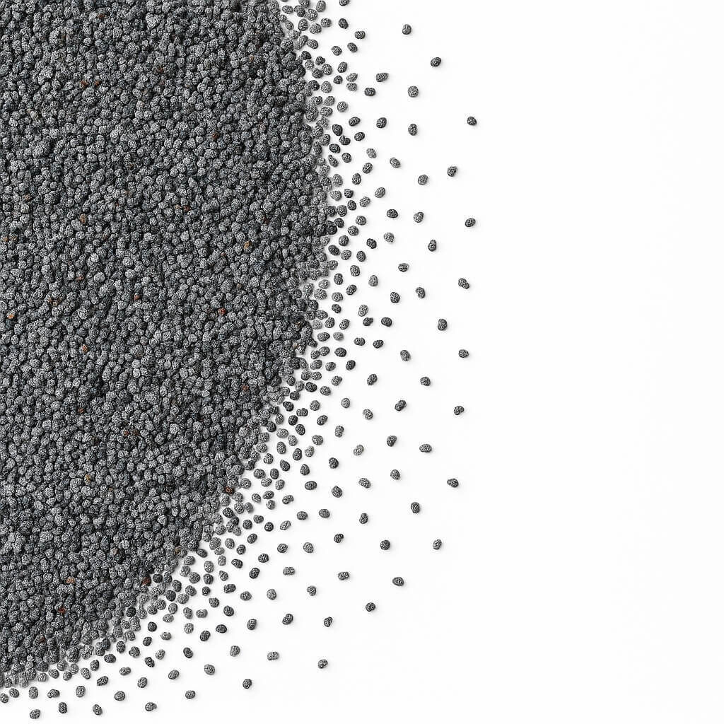 Close-up of black poppy seeds scattered