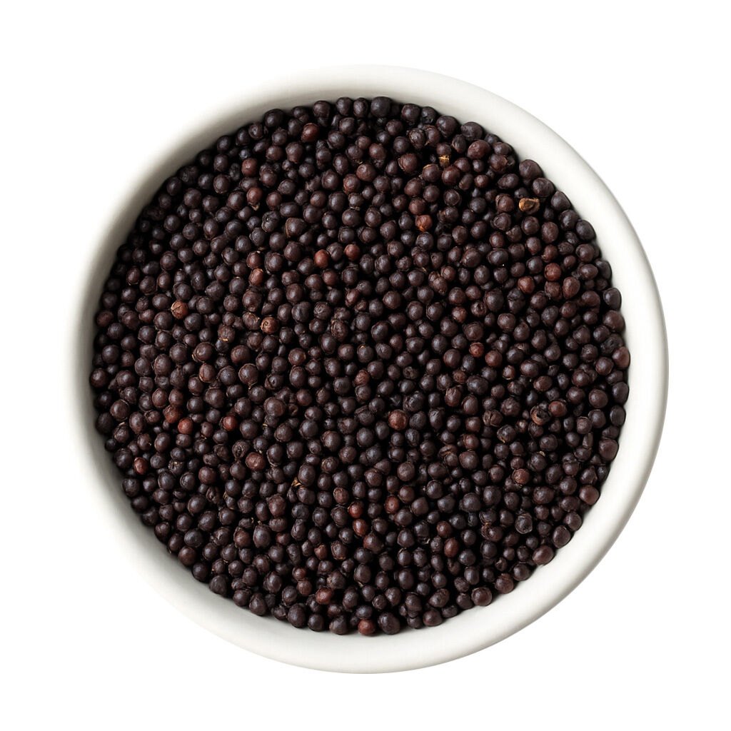 Bowl of black mustard seeds on white background
