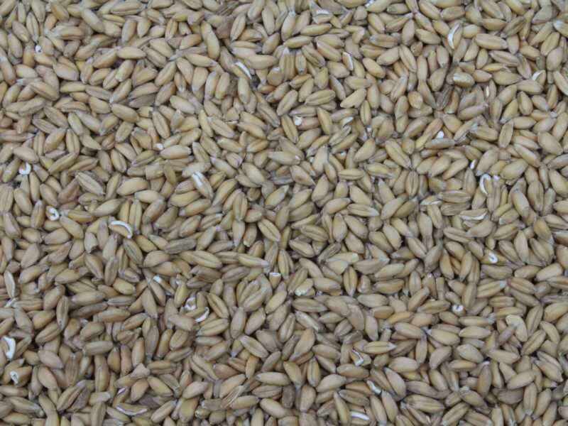 Organic Emmer 25kg