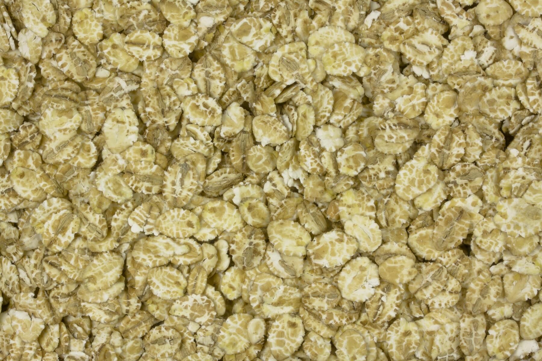 Organic barley flakes