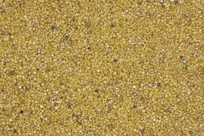 Organic Coarse Millet Grits Europe