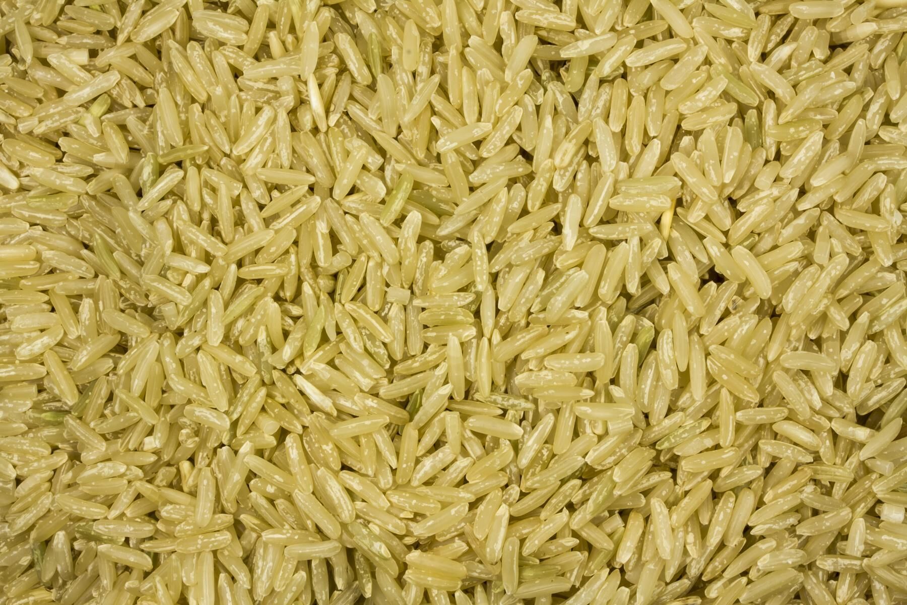 Organic Whole Grain Jasmine Rice