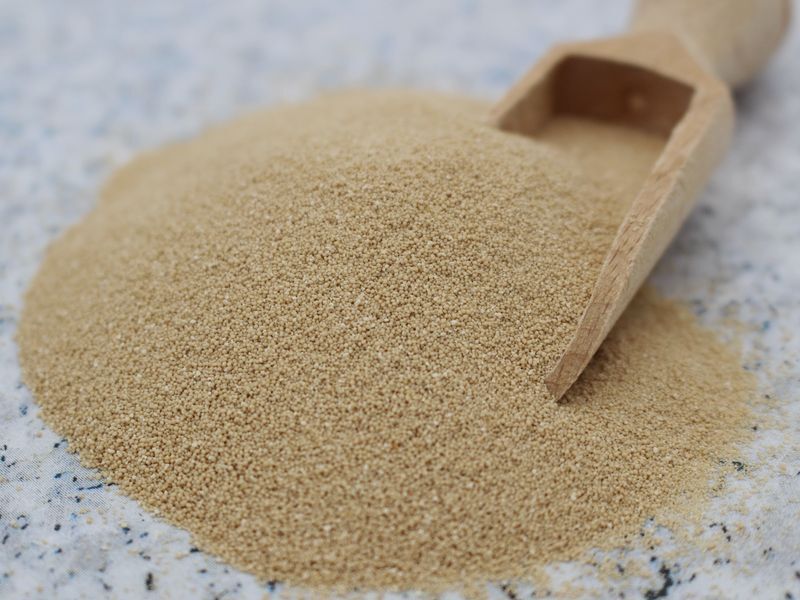 Yeast "Master Baker's Yeast" dry gluten-free organic 1x390g BioVegan