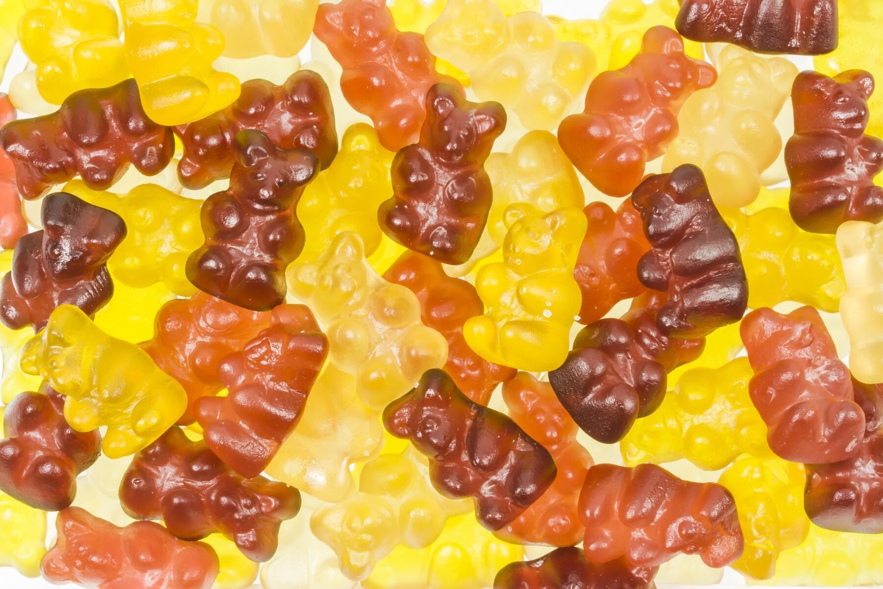 Organic Gummy Bears 5kg